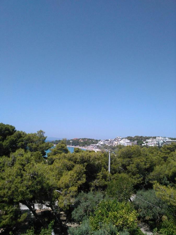 Comfortable garden Apt near Vouliagmeni beach Athen Eksteriør bilde