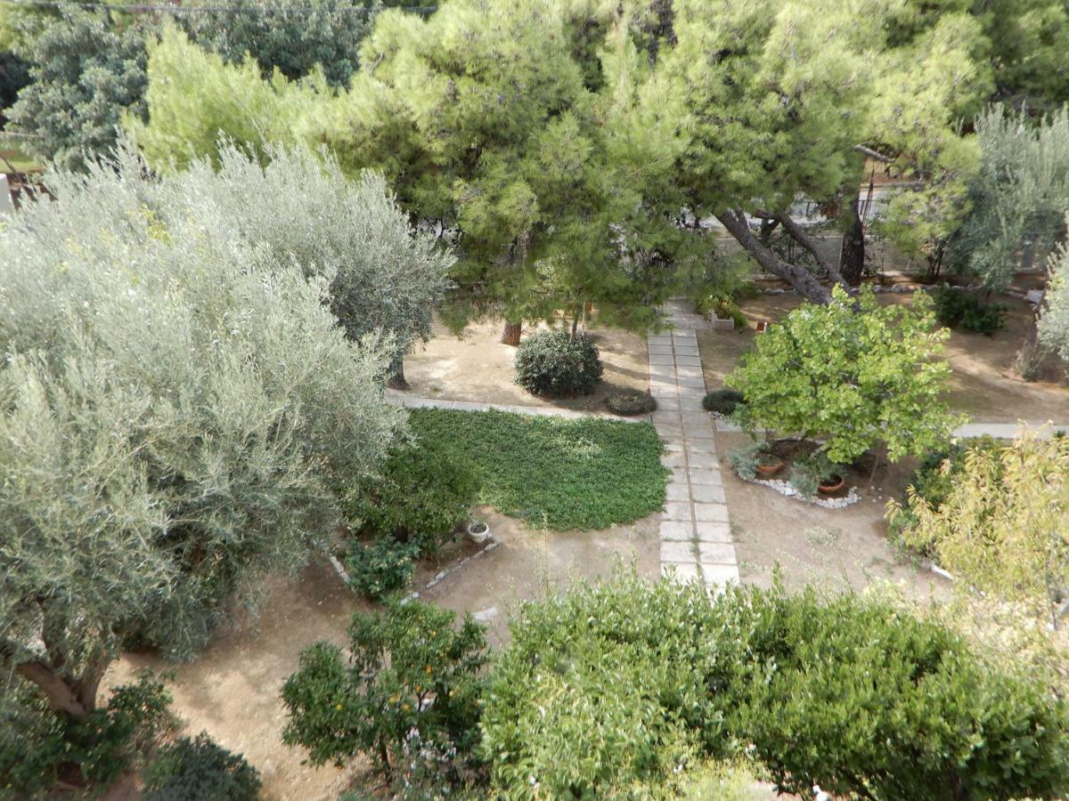 Comfortable garden Apt near Vouliagmeni beach Athen Eksteriør bilde